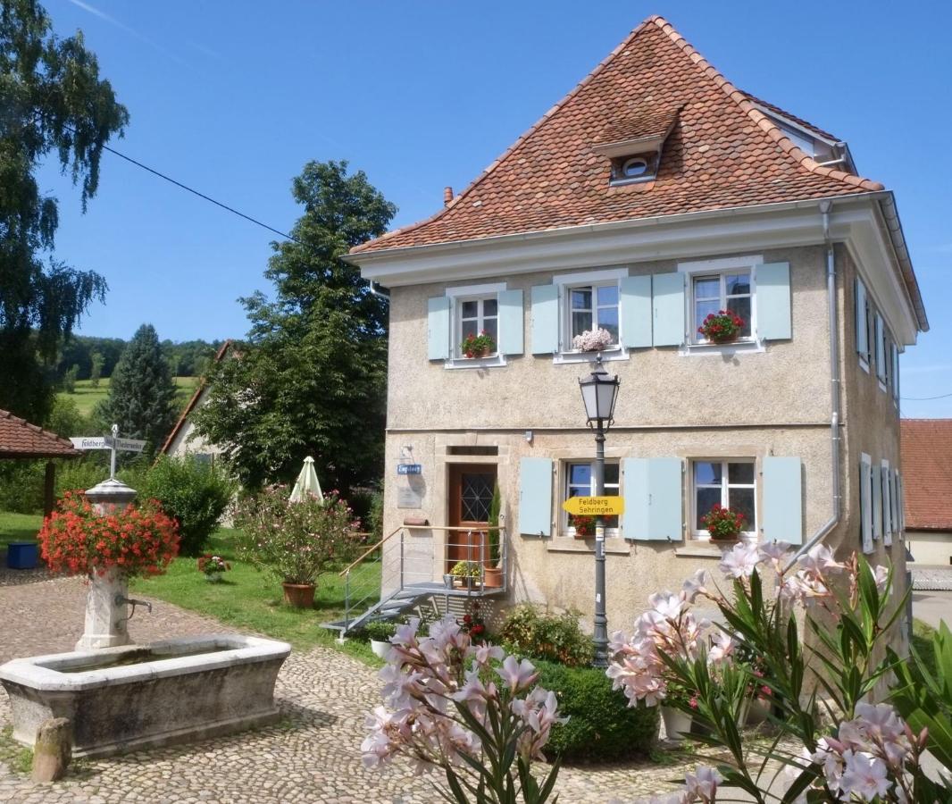 Ferienhaus Zur Alten Dame Badenweiler Bagian luar foto